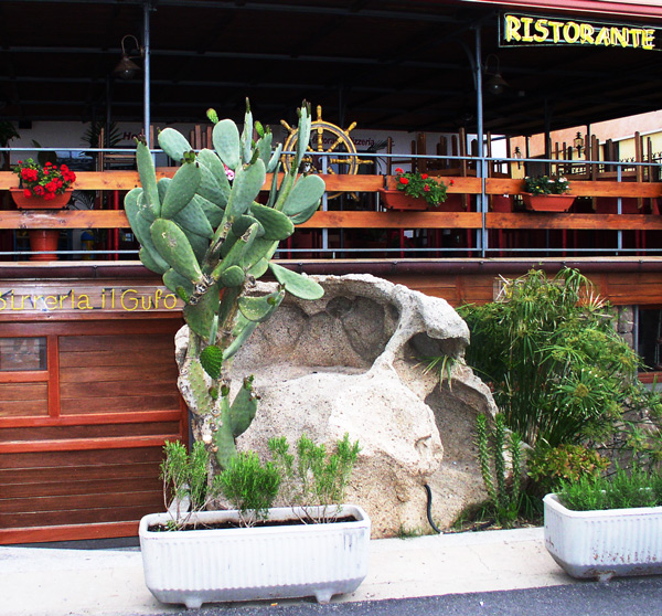  .
---------
 (  ,      )