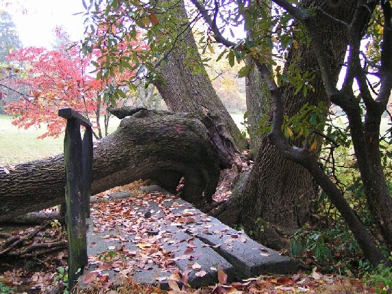 Bridge over brook
---------
 (  ,      )