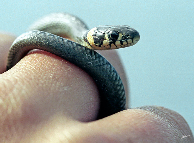   
---------
 (  ,      )