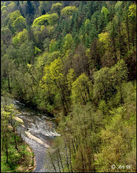 Springtime colours 2
---------
 (  ,      )
