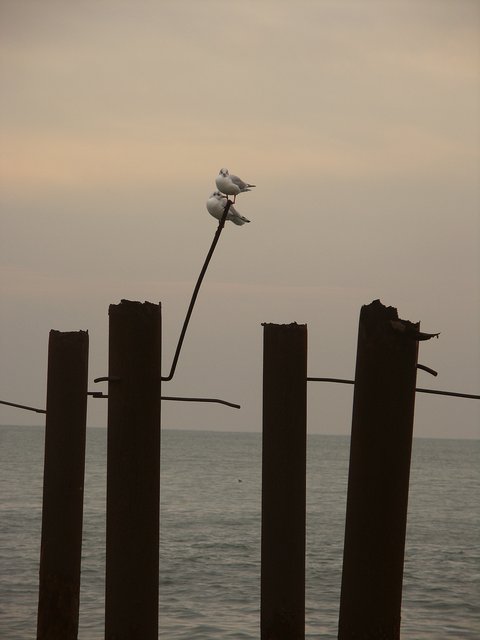 
---------
 (  ,      )