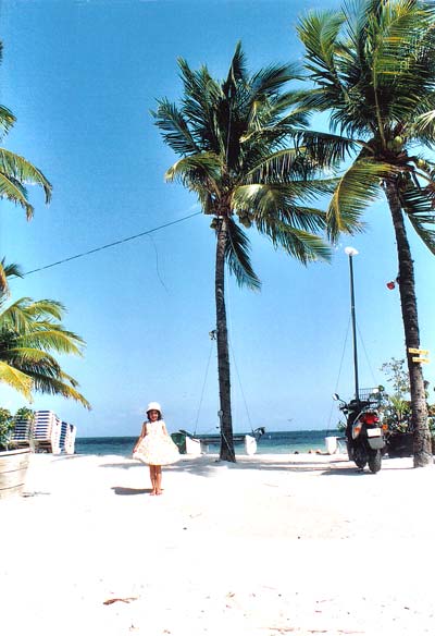 Key West
---------
 (  ,      )