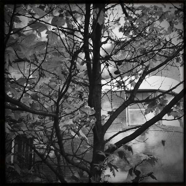 Polaroids #230
---------
 (  ,      )