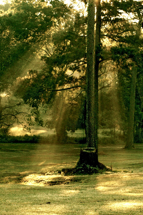  
---------
 (  ,      )