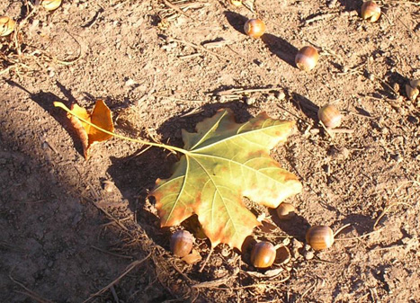 .
---------
 (  ,      )