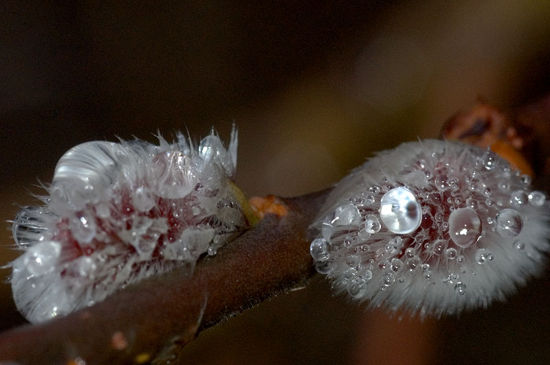 ����������
---------
 (�������� �� �����������, ����� ������� ��� � ������ �����)