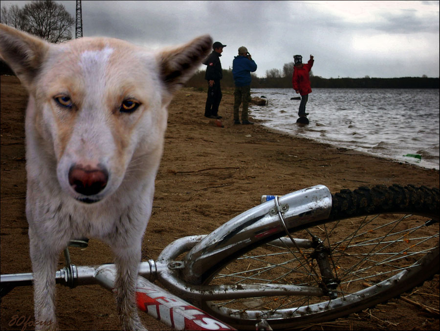 
---------
 (  ,      )