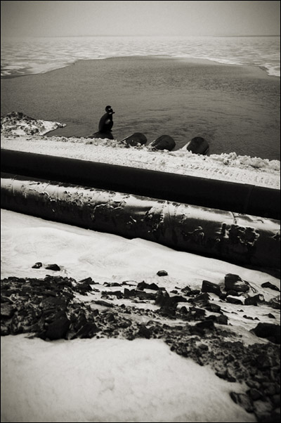Sights of nothing #5
---------
 (  ,      )