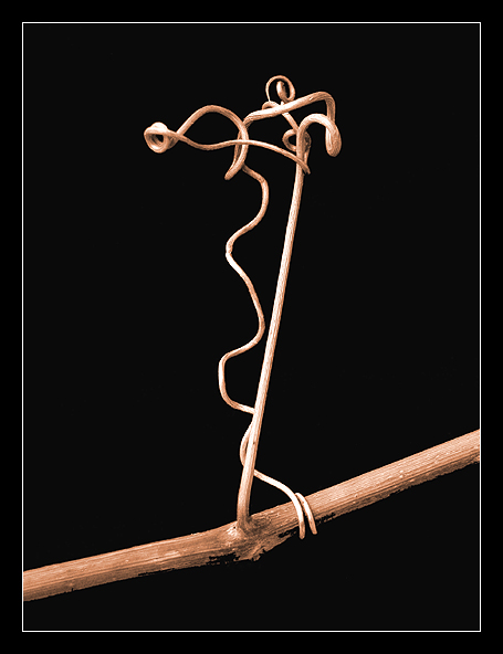 
---------
 (  ,      )