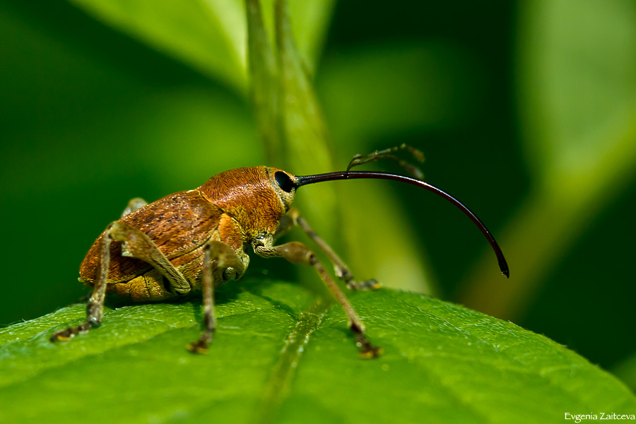 
---------
 (  ,      )