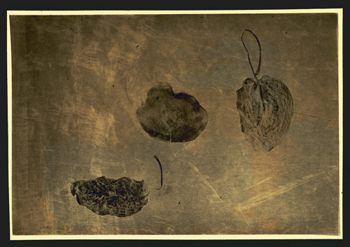 .-2008.
---------
 (  ,      )