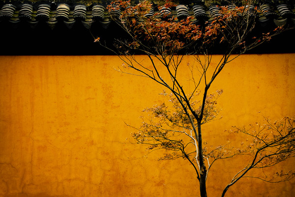 Oriental Autumn
---------
 (  ,      )