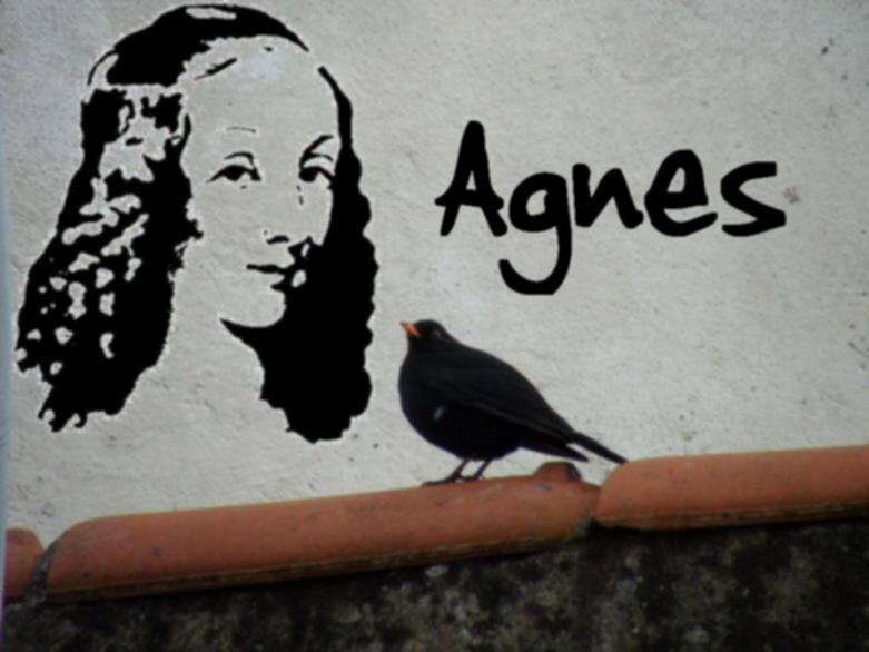 Agnes
---------
 (  ,      )