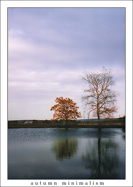 Autumn minimalism
---------
 (  ,      )
