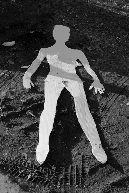 Molly
---------
 (  ,      )