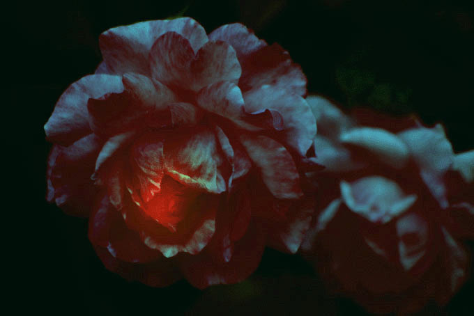 � �����
---------
 (�������� �� �����������, ����� ������� ��� � ������ �����)