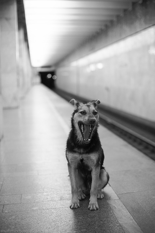 ...
---------
 (  ,      )