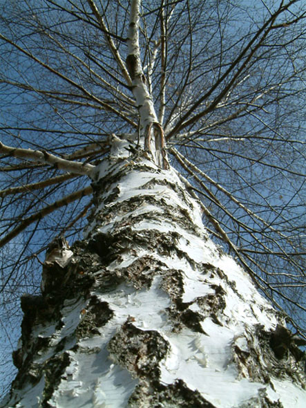 ����� ������ ��� ���� �����.. (�)
---------
 (�������� �� �����������, ����� ������� ��� � ������ �����)