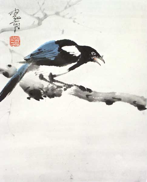 A Magpie
---------
 (  ,      )