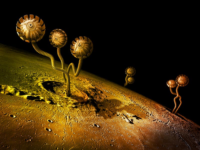 Глаза Чужого Мира
---------
 (кликните по изображению, чтобы открыть его в полный экран)