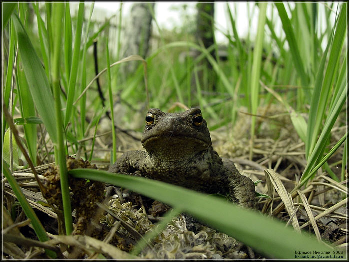   
---------
 (  ,      )