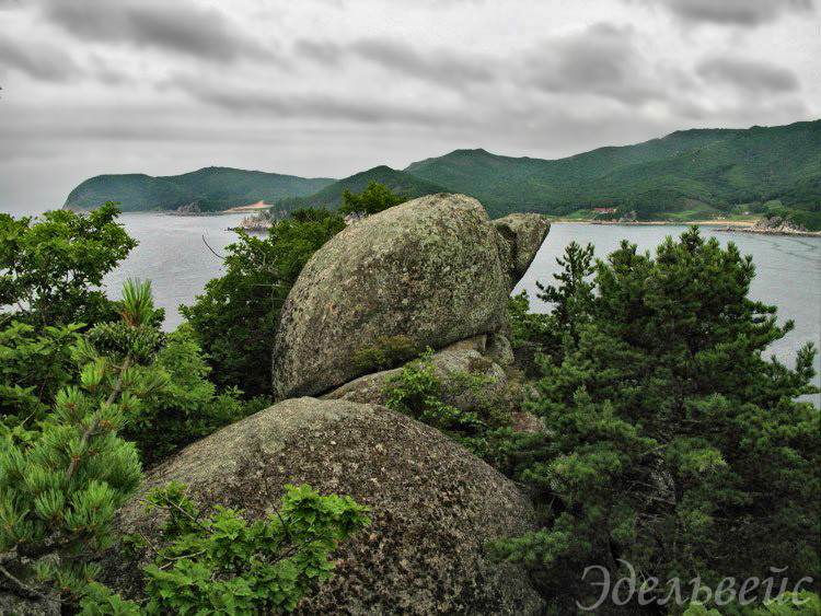 �������� ��������
---------
 (�������� �� �����������, ����� ������� ��� � ������ �����)