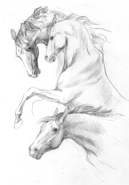 ������
---------
 (�������� �� �����������, ����� ������� ��� � ������ �����)