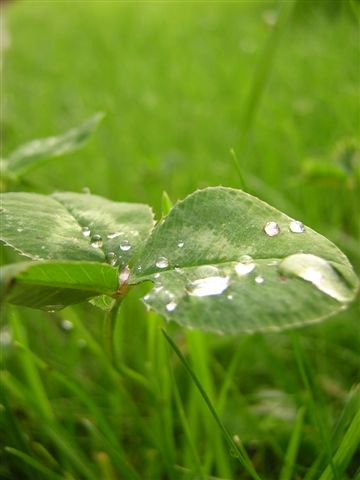 
---------
 (  ,      )