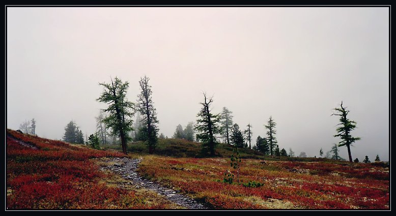 Altai (20) 1999
---------
 (  ,      )