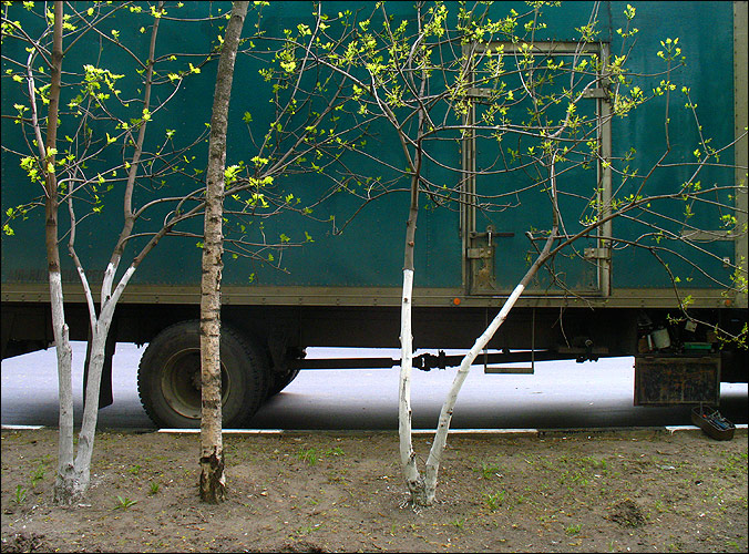 
---------
 (  ,      )