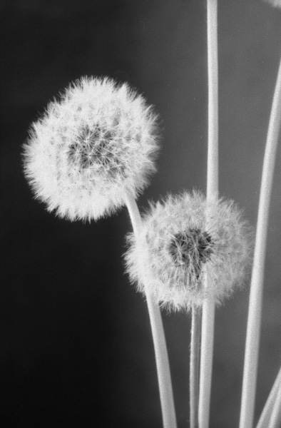 
---------
 (  ,      )