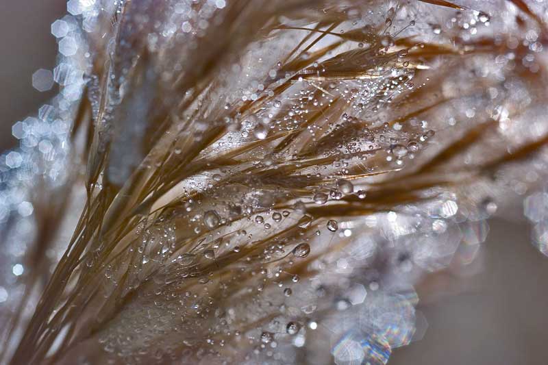 ������ �����
---------
 (�������� �� �����������, ����� ������� ��� � ������ �����)