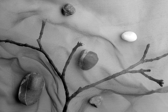 ***
---------
 (�������� �� �����������, ����� ������� ��� � ������ �����)