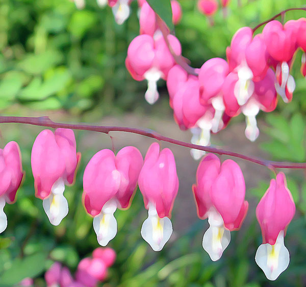 �������� ������
---------
 (�������� �� �����������, ����� ������� ��� � ������ �����)