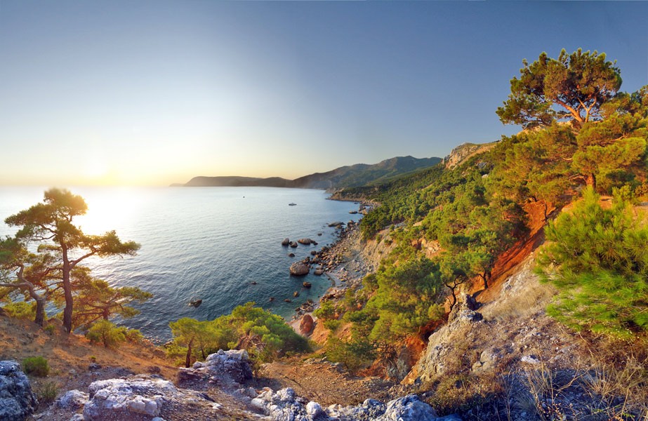 ������ ��������� �� ���� ���
---------
 (�������� �� �����������, ����� ������� ��� � ������ �����)