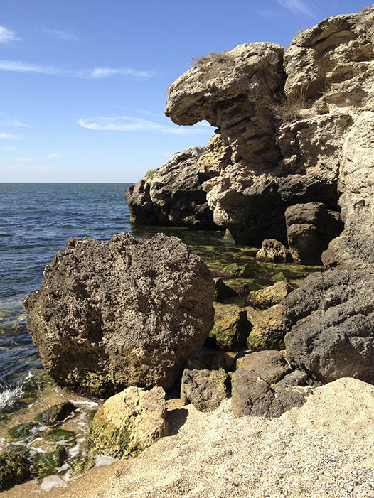  
---------
 (  ,      )