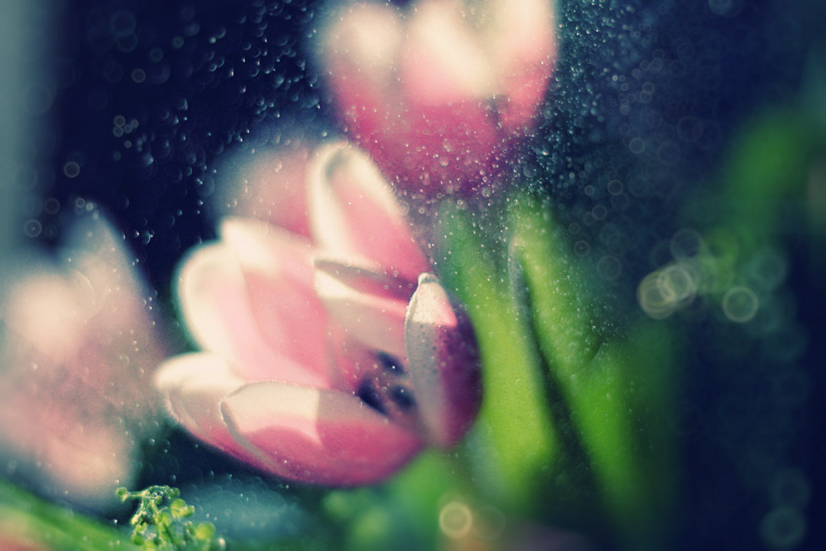  
---------
 (  ,      )