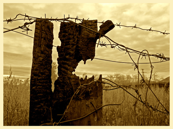  
---------
 (  ,      )