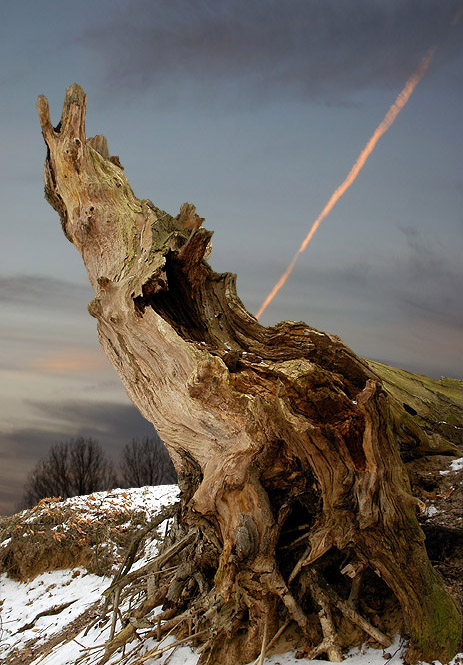  
---------
 (  ,      )