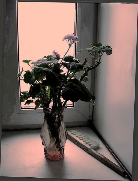 &&&
---------
 (�������� �� �����������, ����� ������� ��� � ������ �����)