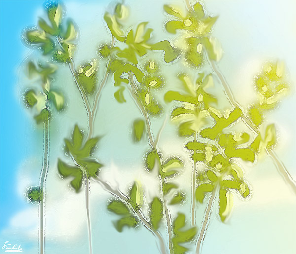   
---------
 (  ,      )