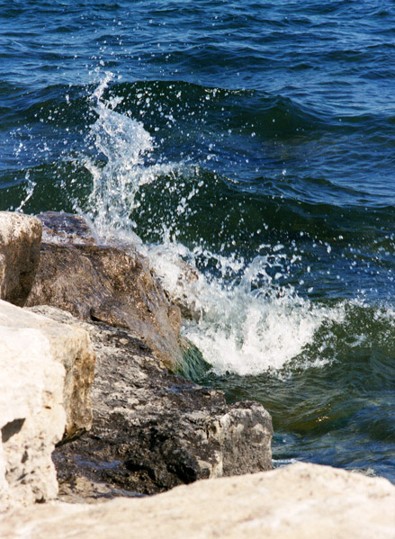 Splash
---------
 (  ,      )