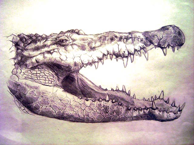 �����
---------
 (�������� �� �����������, ����� ������� ��� � ������ �����)