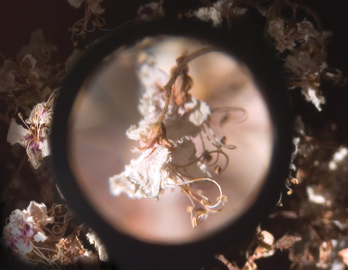 [��� ��������]
---------
 (�������� �� �����������, ����� ������� ��� � ������ �����)