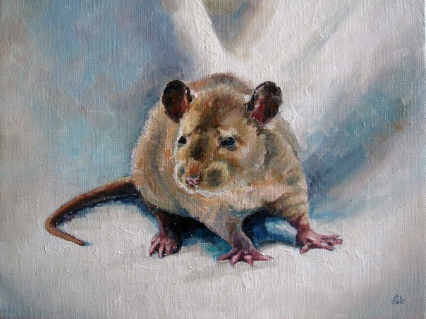 
---------
 (  ,      )