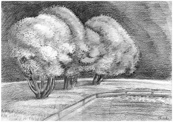 ""
---------
 (  ,      )