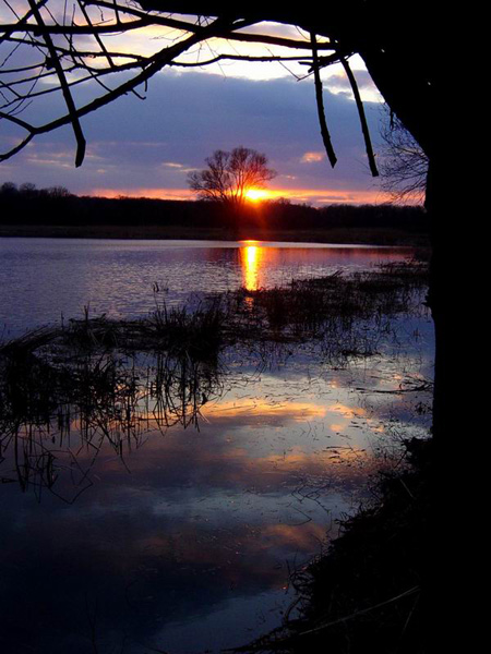 "         ..."
---------
 (  ,      )