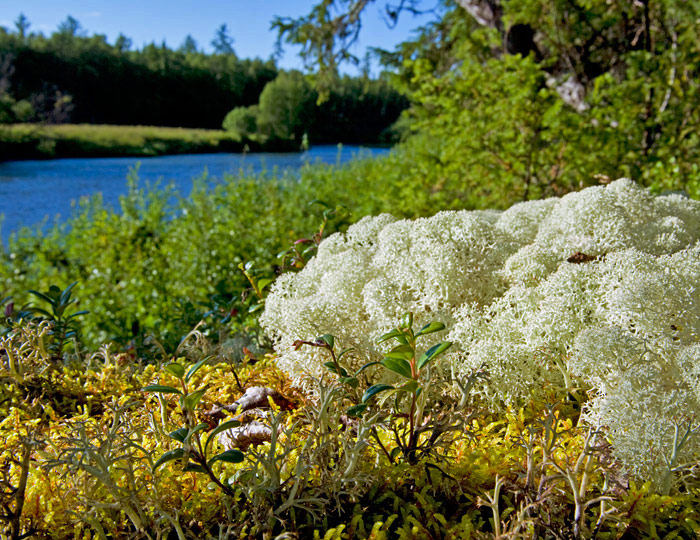    
---------
 (  ,      )