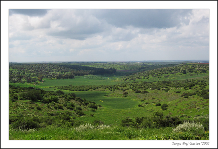 Beit Gurvin - Maresha
---------
 (  ,      )