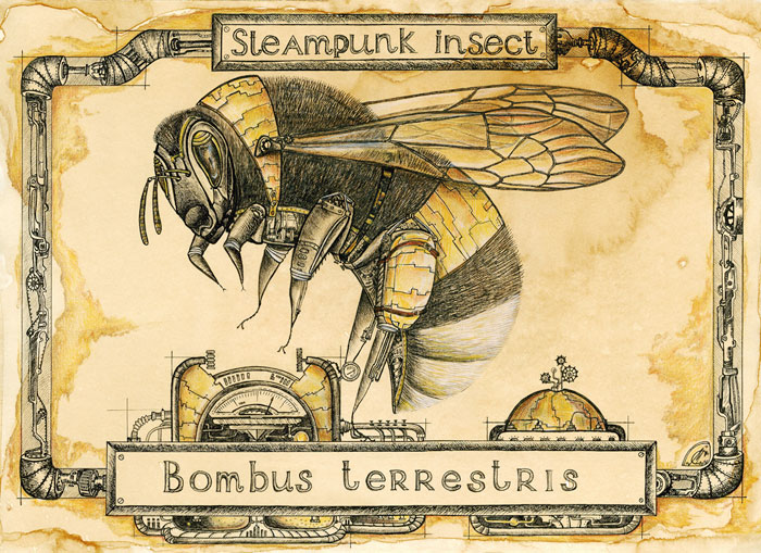 Steampunk-
---------
 (  ,      )